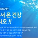 주식회사 다인식품 이미지