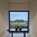 스테이정연 | 제주도 독채 숙소 단심 스테이정연 추천 후기