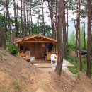 설하관광농원 이미지