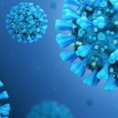 밧데리 아울렛 이미지