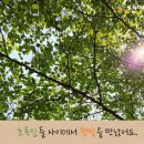 미래숲어린이집 이미지