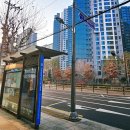성포중학교 사거리(학교앞) | 뱅뱅사거리 맛집 부안육비 양재역 육회 막걸리안주 대박!