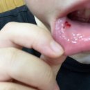 김밥천국인동점 이미지