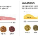 쓰리피엠 이미지