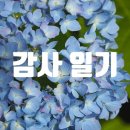 산솔면-17(이목교회 앞) | 2025.06.23(月) 빌리의 감사일기 - 131次