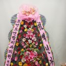 조앤조연합치과의원 이미지