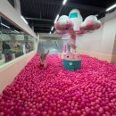 월성초등학교 | 대구 키즈카페 추천｜키즈베이 대구점 후기｜800평 규모 실내놀이터·앵무새 체험·인생네컷까지!