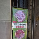 육오감