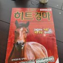 경마공원대로 | 렛츠런파크 서울 과천 경마공원 후기, 주말 데이트 추천