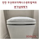 독정이로 이미지