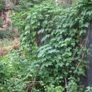 종관농장 이미지