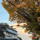 동화마을슈퍼 이미지