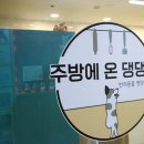 주방에 온 댕댕이 이미지