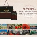 홍삼플러스