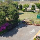 아이드림펫 이미지