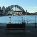 스맛시티 | 시드니여행코스 왓슨스베이-갭파크 방문 후기(피쉬앤칩스맛집, 페리)