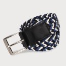 페르시안 캣 이미지