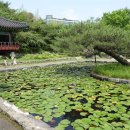 보통공원 이미지