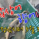 마정낚시터 이미지