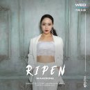 벙커스튜디오화정댄스학원 이미지