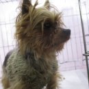 하신중앙로 이미지