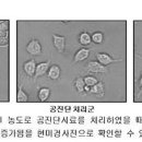 공진단 학습능력 강화 과학적 구명 이미지