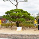 물초울공원(놀이시설) 이미지