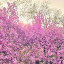 Best 휘트니스 센타 | 경주 겹벚꽃 숙소 BEST 3 | 보문단지 호텔 추천 (위치·가격·리뷰 총정리)