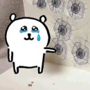 가좌훼밀리마트 | ④ - 삿포로 4박5일 혼자여행 4~5일차 🧤🩵