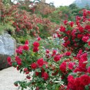 종해농장 이미지