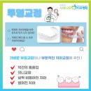 나무치과기공소 이미지