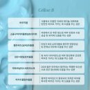 진정살롱