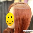 (주)레드오렌지 이미지