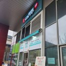 김호권의청년어부용인