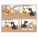 개와고양이 이미지