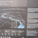 제주 천지연 담팔수 자생지 | 사귀포 천지연폭포