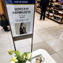 현대백화점포멜카멜레