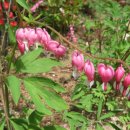 추풍령(부산)휴게소 이미지