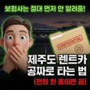 삼성카공업사 | 제주도 여행 사고대차로 렌트비 0원! 삼성화재 협상 꿀팁 &amp; 퓨어베베 카시트 대여