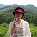 엘림청과