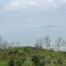 섬에온이유민박 이미지