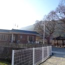 운문1리경로당 Daum카페