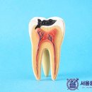 서울홍진선치과의원 이미지