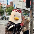 고밥고기밥상 이미지