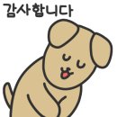 꼬인 인생을 푸는 뇌과학자의 접근- 장동선 뇌과학자 이미지