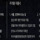 피노지움 이미지