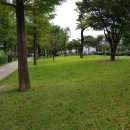 포항여자중학교 이미지