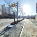 중로(보)1-3-5 이미지