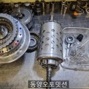 동양오토밋션 이미지