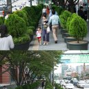 노점25 네이버블로그